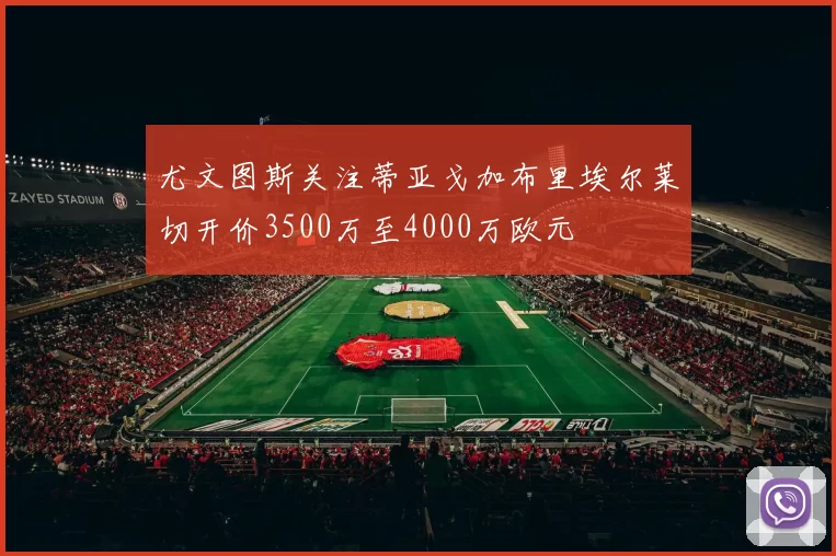 尤文图斯关注蒂亚戈加布里埃尔莱切开价3500万至4000万欧元