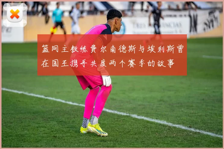 篮网主教练费尔南德斯与埃利斯曾在国王携手共度两个赛季的故事