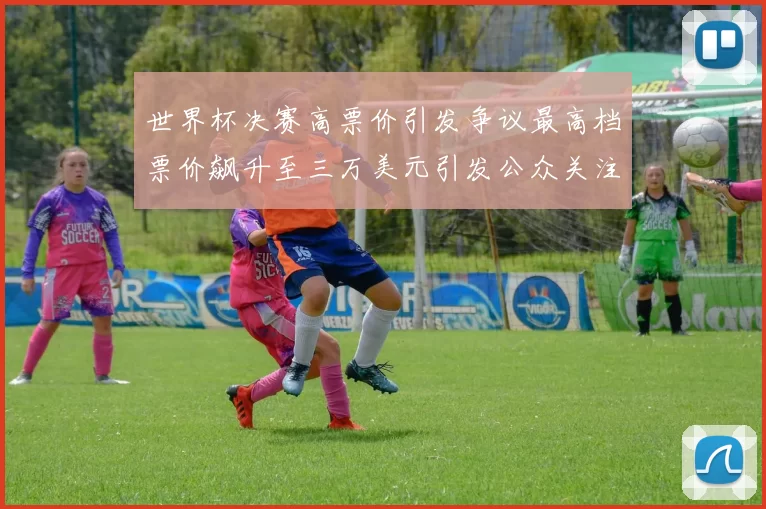世界杯决赛高票价引发争议最高档票价飙升至三万美元引发公众关注