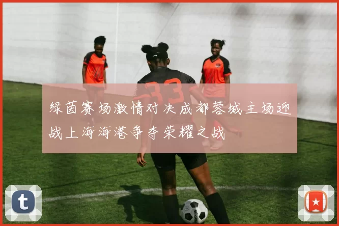 绿茵赛场激情对决成都蓉城主场迎战上海海港争夺荣耀之战